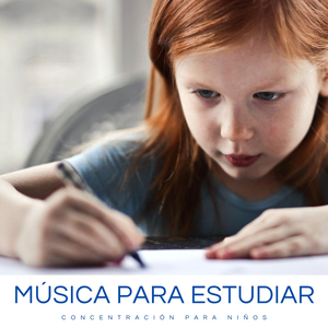 Vegetación Del Bosque