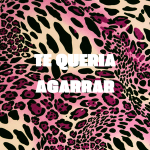 Te Queria Agarrar
