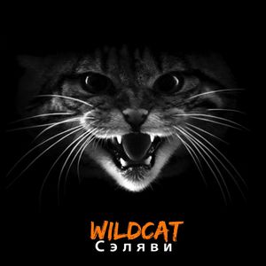 Wildcat