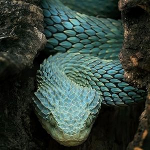 蛰伏 prod by gexales