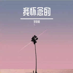 我怀念的（翻自 林俊杰）