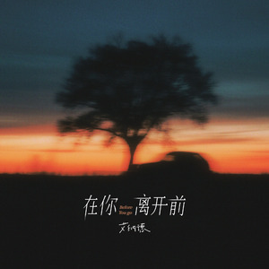 在你离开前