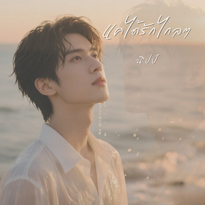 แค่ได้รักไกลๆ