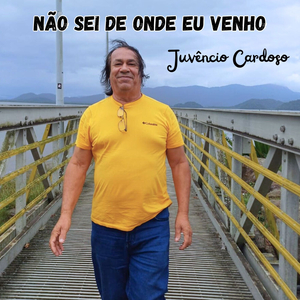 Vaneirão do Paraná