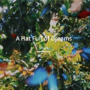 A Hat Full of Dreams