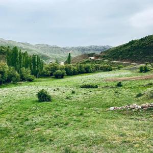 Hüseynik'ten Çıktım Şeher Yoluna