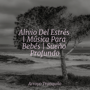 Perdidos En La Lectura