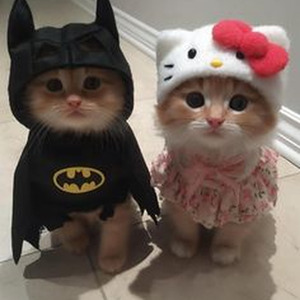 Love Story (Slowed + Reverb)