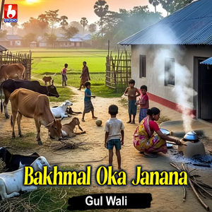 Bakhmal Oka Janana