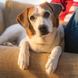 Acompañamiento Para Relajación