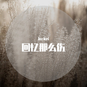 回忆那么伤（翻自 Dj方酒仙Qui）