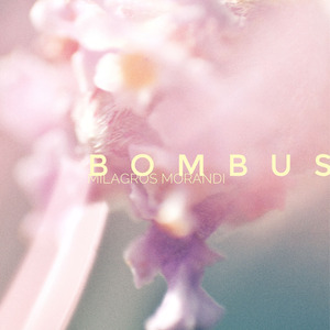 Bombus