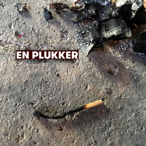 En plukker