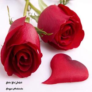 Seheryeli Nazlı Yare Bildir