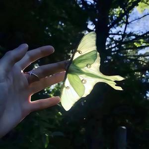 永远别漏出自卑的模样