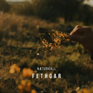 Fethgar