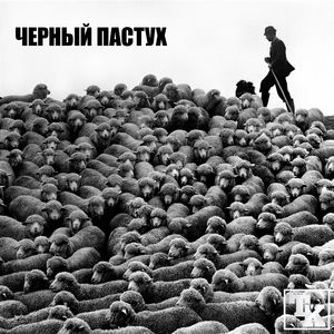 Крики падающих птиц