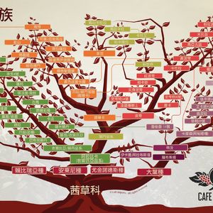 奇妙能力歌