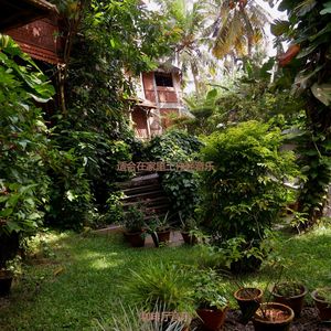 适合在家里工作柔和的音乐