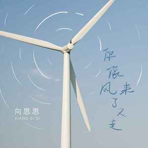 你像风来了又走