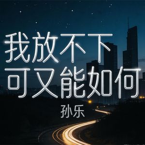 我放不下可又能如何