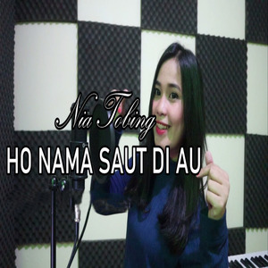 Ho Nama Saut Di Au