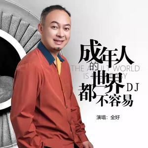 成年人的世界都不容易 （DJ沈念）