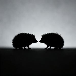 刺猬