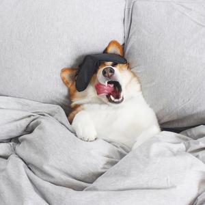 可惜不是你（男生吉他版）