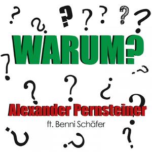Warum? (feat. Benni Schäfer)