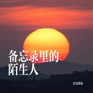 备忘录里的陌生人