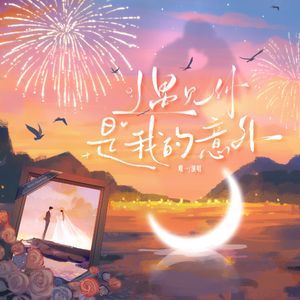 遇见你是我的意外