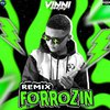 VINI DJ - Forrozin Eu Não Tenho Culpa de Ser Gostoso