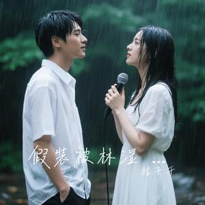 假装被林湿 对唱伤感
