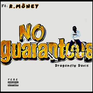 No Guarantees
