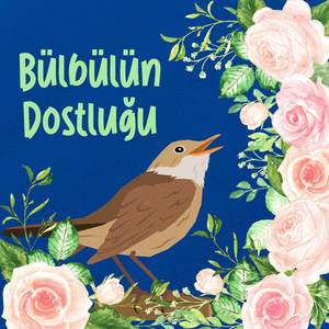 Bülbülün Dostluğu