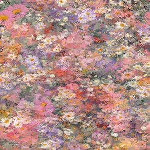 If yor're Still Here