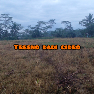 Tresno Dadi Cidro