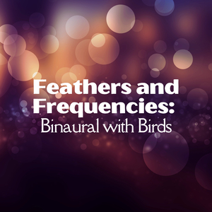 Binaural Flight of Songbirds