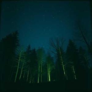 They Begged Me Not to Wake You