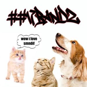 pacheco (feat. Baddlittle333kk)