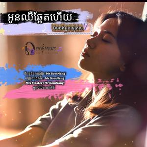 អូនឈឺឆ្អែតហើយ មិនចង់ជួបទៀតទេ New Orignal Song by Mr SomNang