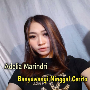 Banyuwangi Ninggal Cerito