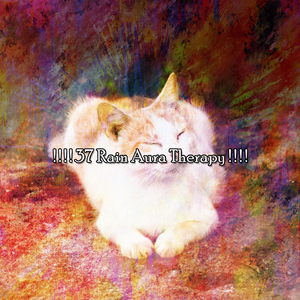 暴風雨之夜關閉