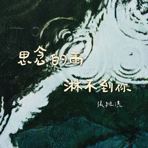 思念的雨淋不到你（伴奏）