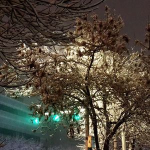 未来时光里的相伴期许