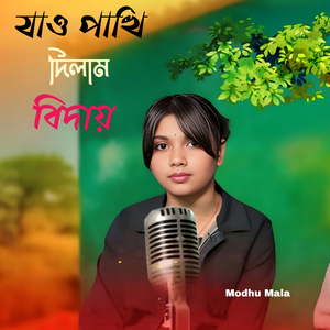 Jao Pakhi Dilam Biday