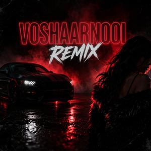 VOSHAARNOOI (Special Version)