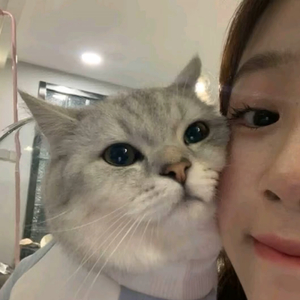 不离不弃
