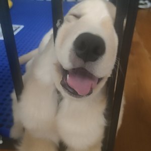 cloud_20250830_0847310